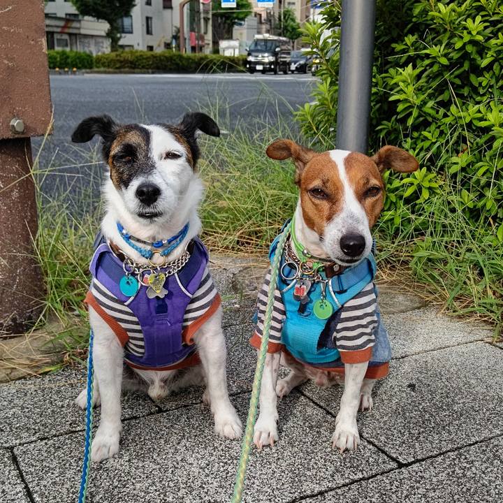 4ad0697d dc47 424f ba9a e304410ea6d9 1662762958893