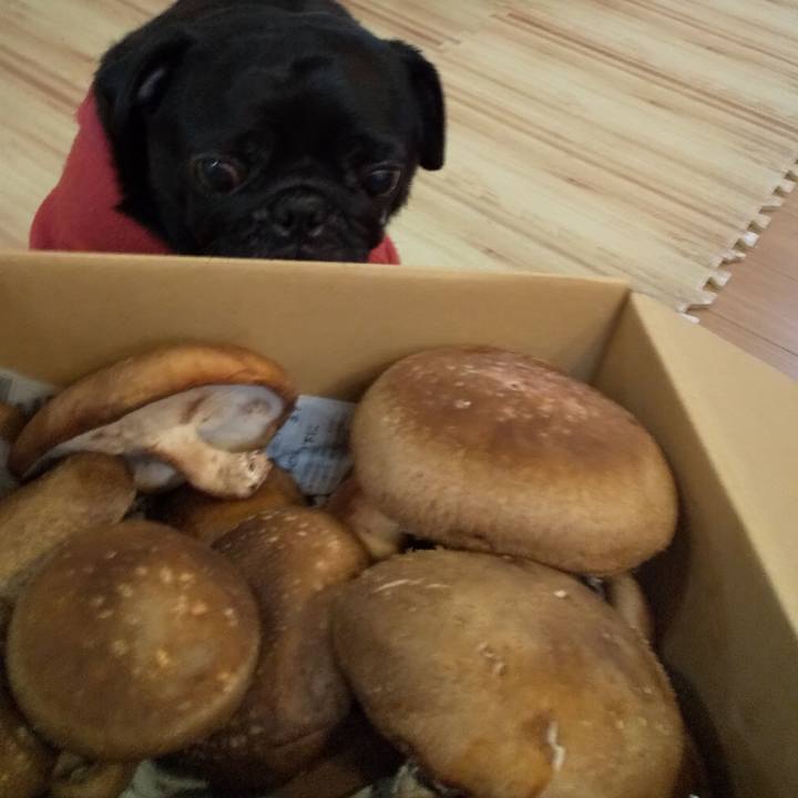 4ad06c58 8182 49ea 8232 2ea964c16874 1605269507228