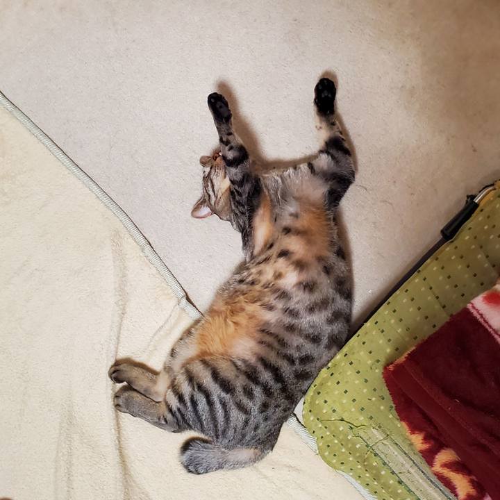 4ad09f48 83fa 4e0b adb8 1ccc6f59eda2 1703849386593