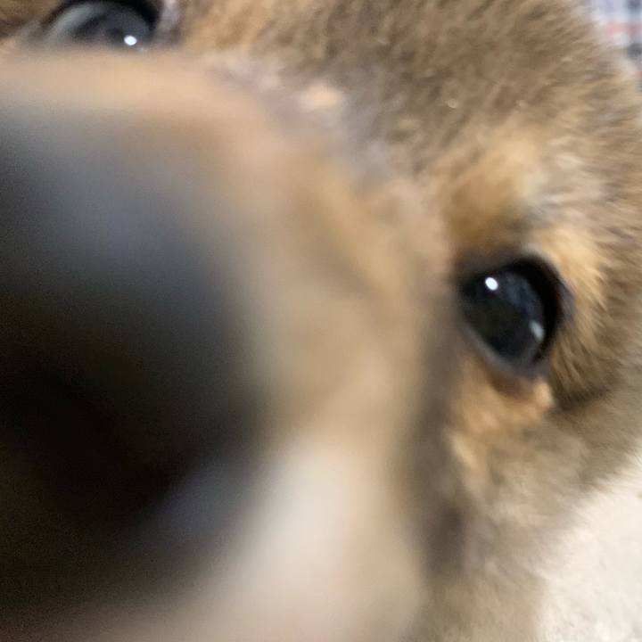 4ad0f48e 6775 4b25 9b65 6cc0d731fe57 1615898240236