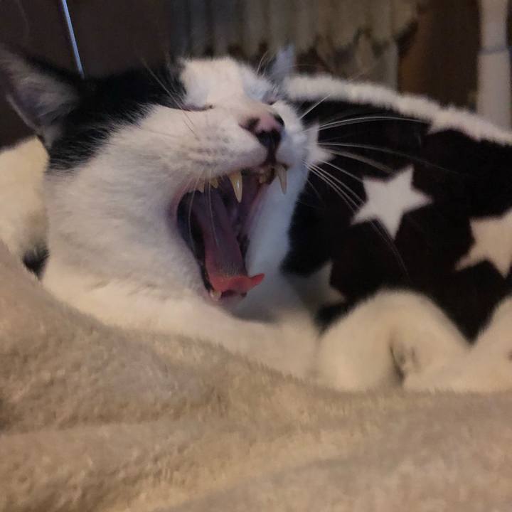 4ad0f4c6 fee6 43e6 968c ca444fa8a489 1579699294152