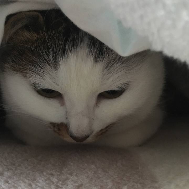 4ad108c6 f680 4289 b1d6 f2e4917e244c 1548166053633