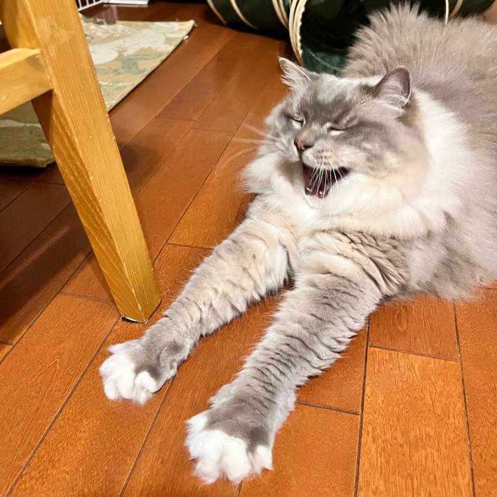 4ad12710 ffa4 4a0e b83f 4f70236285cd 1697099943128