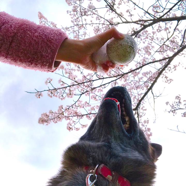 4ad128e7 3486 4d7a 81a8 8cab7efb2b95 1554701136933