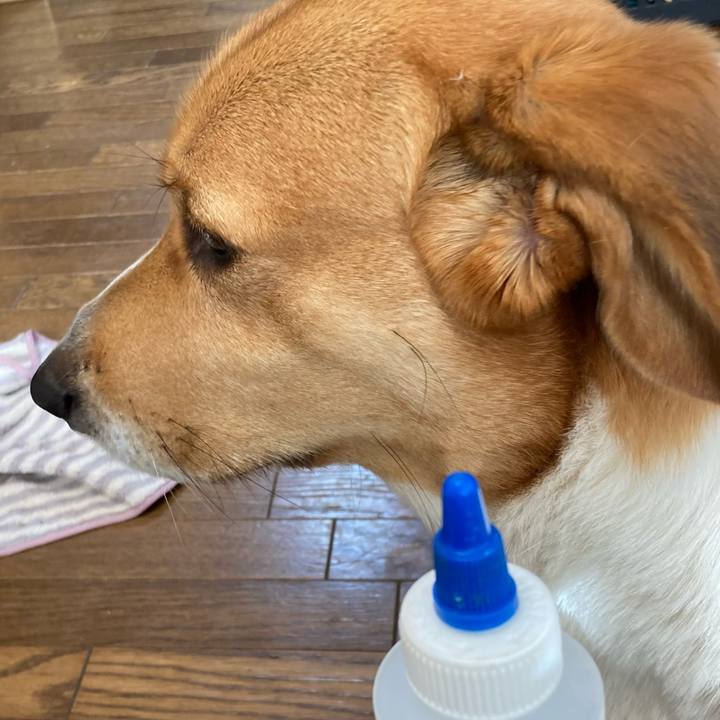 4ad12f01 5d9e 44eb a5e0 4f1b41618b49 1705620941478