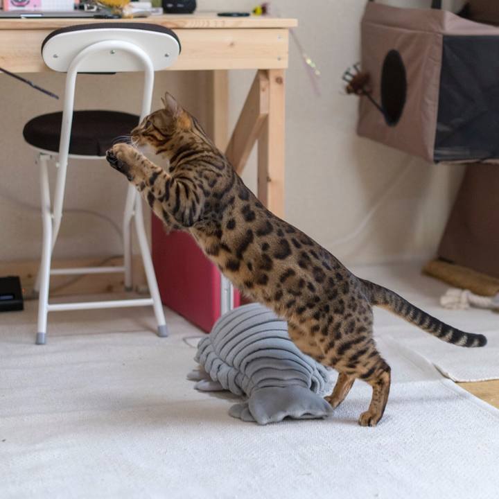 4ad18a12 324b 4a60 9f3c 92d5042309bd 1521387057379