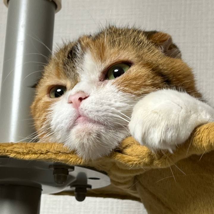 4ad1a51f 7340 43cf b160 68dd10fa8755 1668759643579