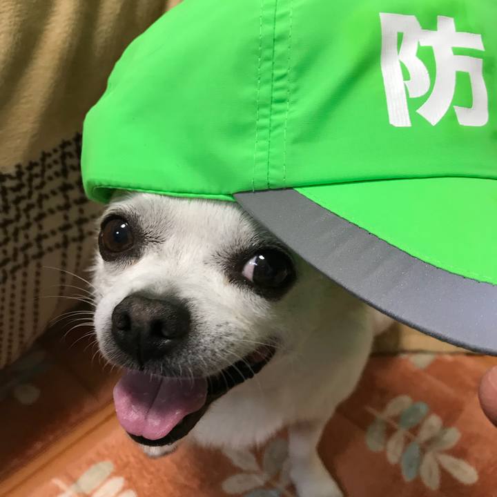 4ad1a8f8 735a 4e43 8b95 fccc59832b31 1524574088046