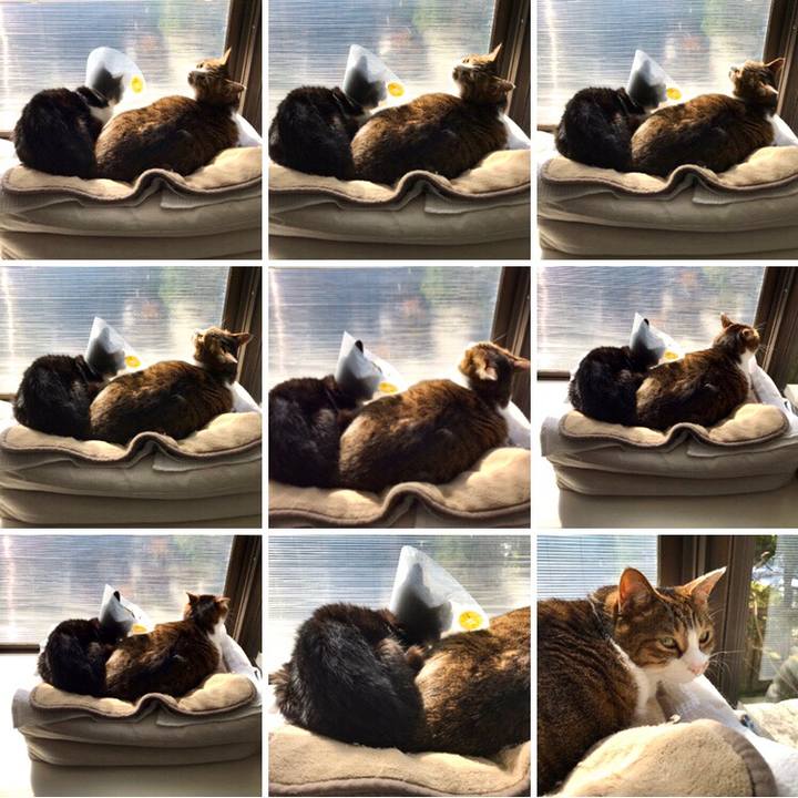 4ad1d7a8 af3a 4985 89e2 5df672340e30 1582515630314