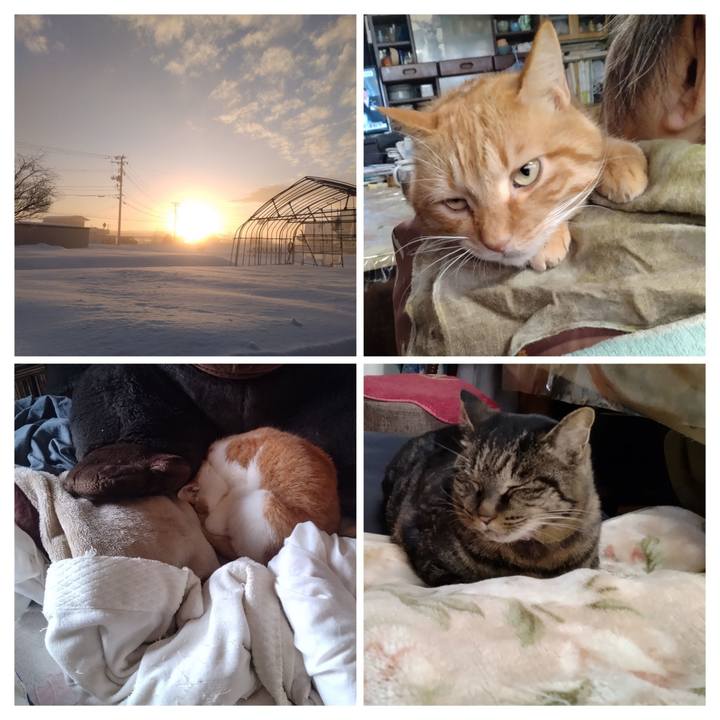 4ad223fd 62ec 4968 ab0c 93be71aaadd2 1767752958684