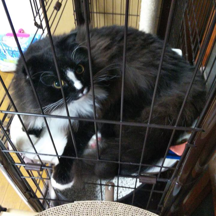 4ad25f73 bd6e 48eb 8531 3fff801f8c5e 1657243617627