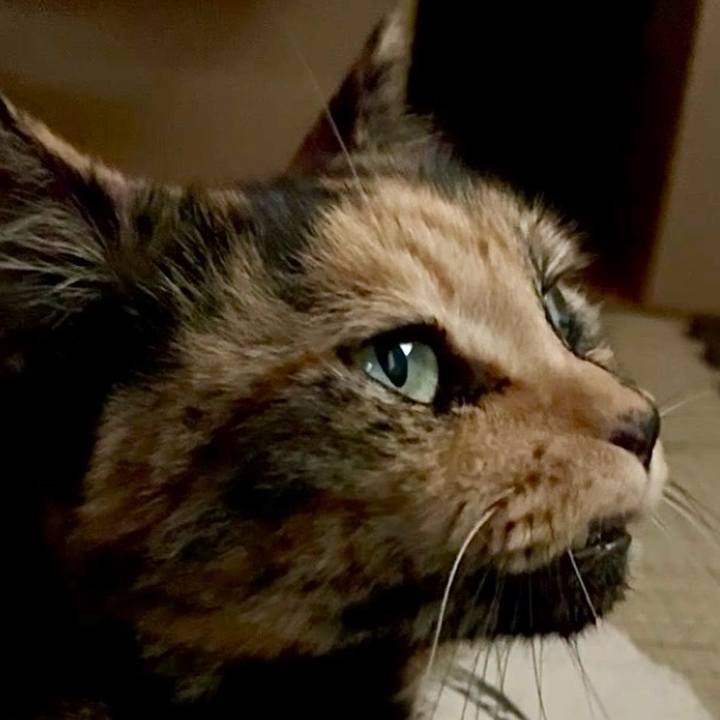 4ad28d09 31a4 44cb 8d3d 26c641a284fa 1752408586189