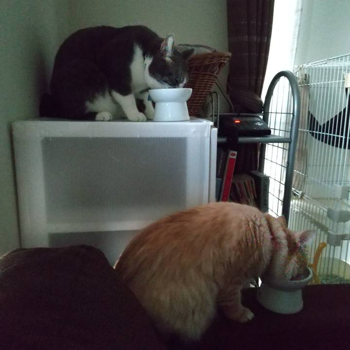 4ad295c5 5523 448f b793 668127862664 1633471898926