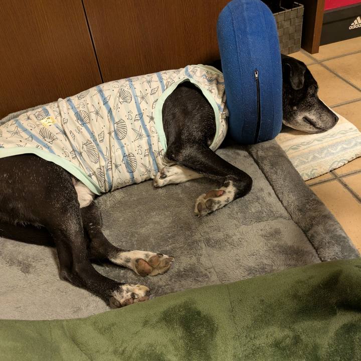 4ad2aef4 f6cb 447a 9fb3 2bd16acd6338 1768522350235