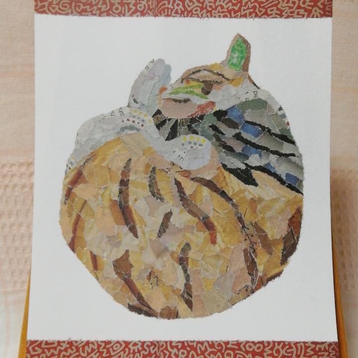 4ad2e2b0 ee4a 42c8 8b9c 0bb812a0e89f 1705878009607