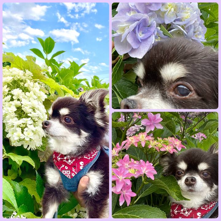 4ad33e1a 3f75 4a2f b892 b83d76635fef 1686643523018