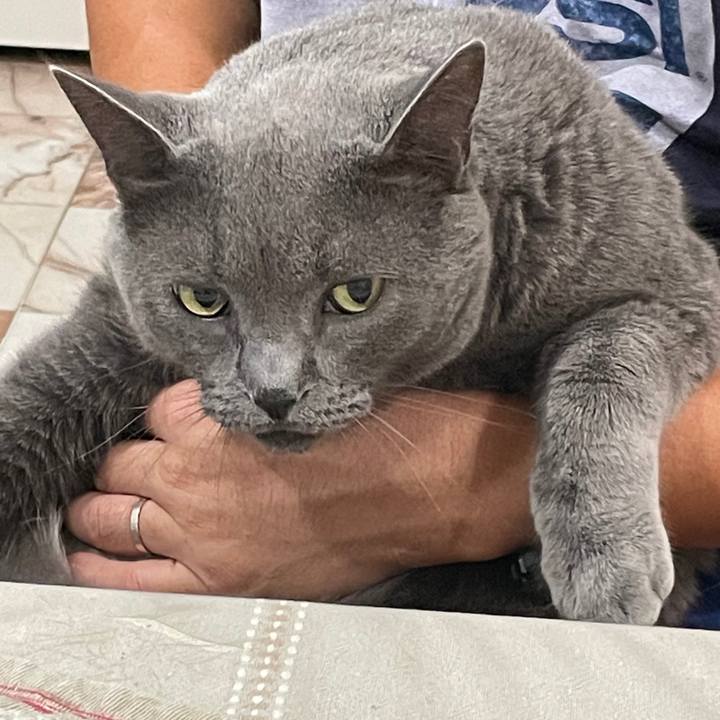 4ad34515 44ea 49de b195 79638989c2fc 1769548271508