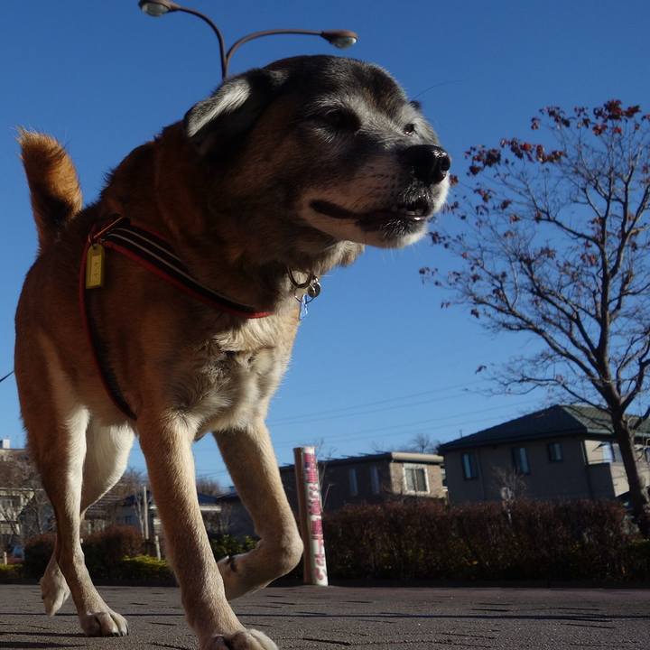 4ad3587b cfea 42f4 a359 68d1fdb288b6 1546391075134