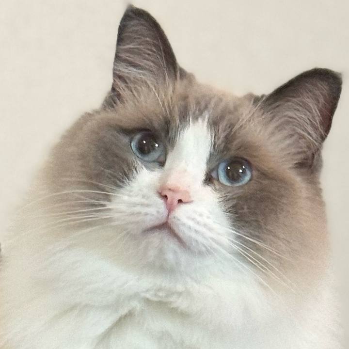 4ad39a59 9ede 49ae af94 1a9c7a1e3f23 1725655571410