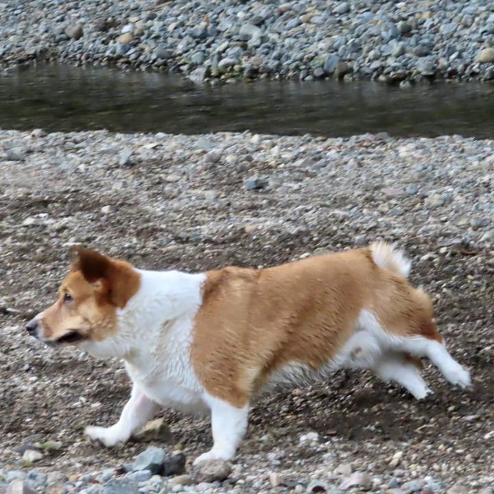 4ad3c804 3c06 4d1c 8024 96b1a307e01c 1694393183564