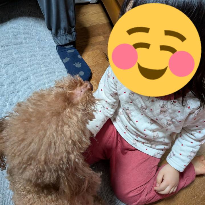 4ad3c9e4 d418 472a 848b 1060d296c8e3 1762424551341