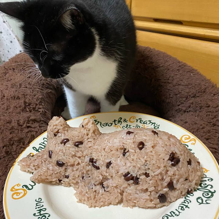 4ad43fbf f7eb 4aa9 94bf c8c8f650baa8 1686203866661