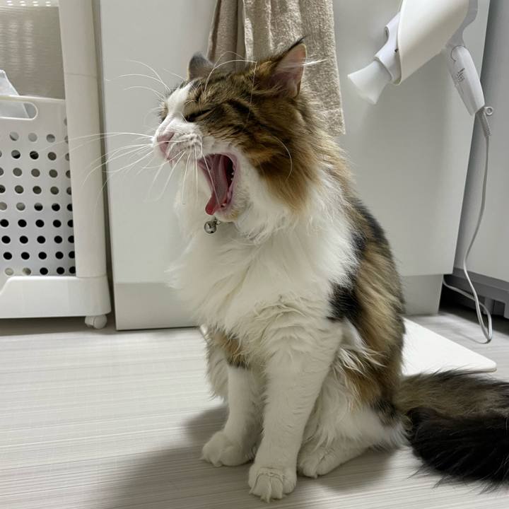 4ad45d7e a808 4be6 8506 502cadf7d9f5 1643014467956