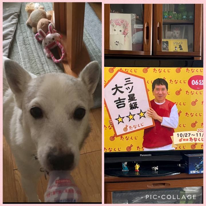 4ad49a90 d2ae 4729 9615 91e5432b0f73 1761516176580