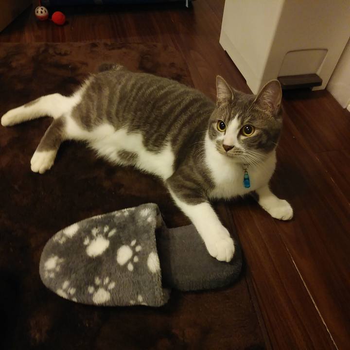 4ad4a20c 7693 415d 8d4d 7d462f8ae276 1580474969395