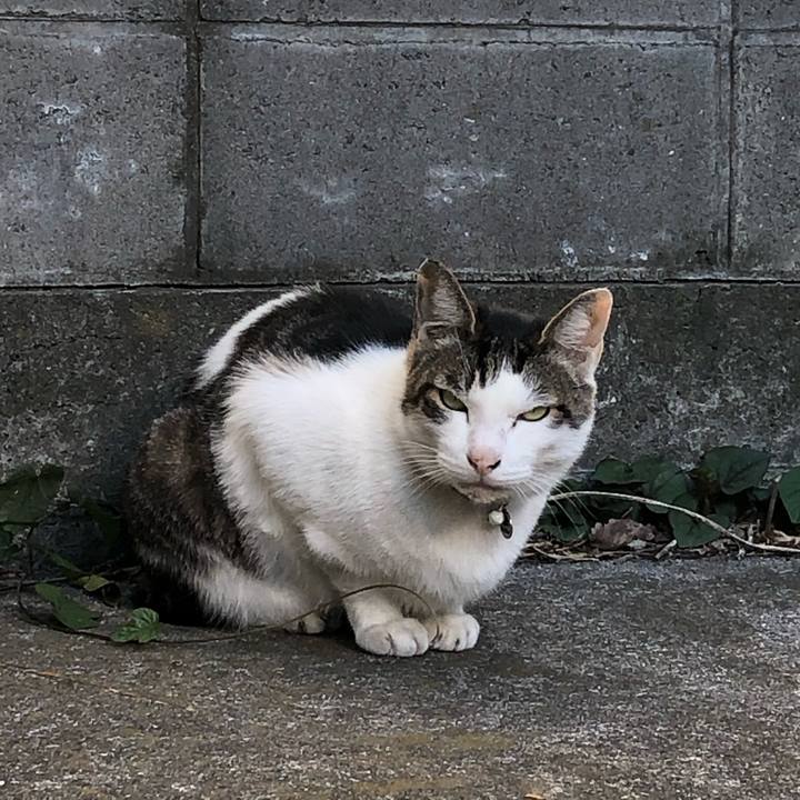 4ad4b443 6c26 4d70 8bb4 4dbd1b3c63da 1554389651901