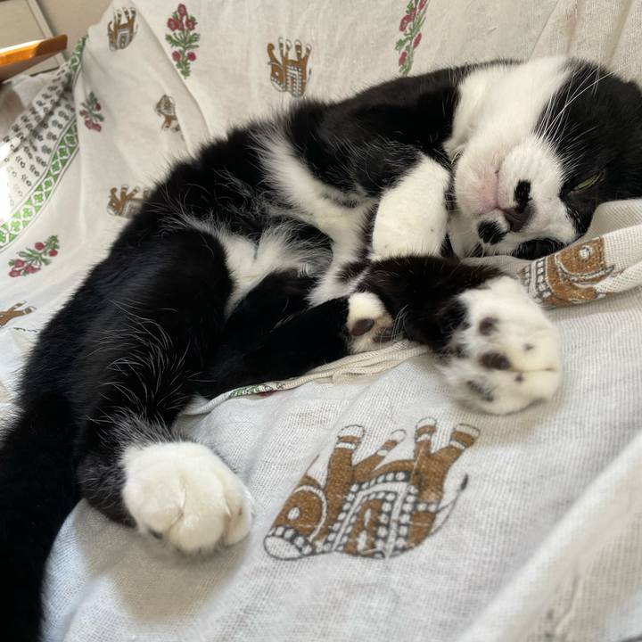 4ad4e56a 056d 4fe2 9333 7c0416638fa3 1721604034416