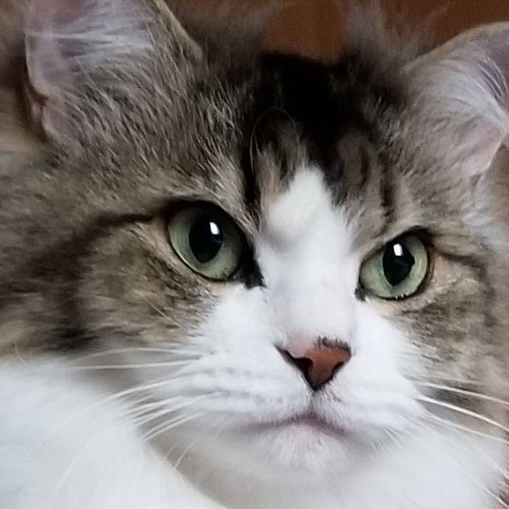 4ad513eb e01a 40bb bfb3 4466a989bc1d 1561759050068