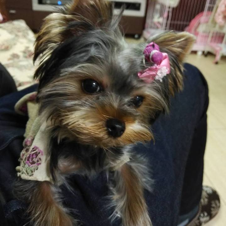 4ad53570 914c 4da1 8112 4b4a7aa6e29a 1541766721970