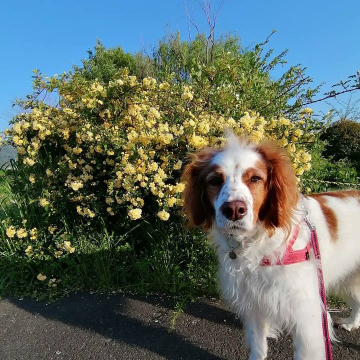 4ad535a2 1324 47f0 a85b 233c3965d249 1618832287281