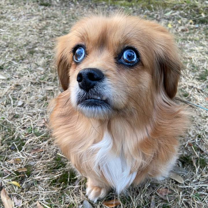 4ad53b6b 6a2e 44ae b1b8 c23edc403f1d 1614377121181