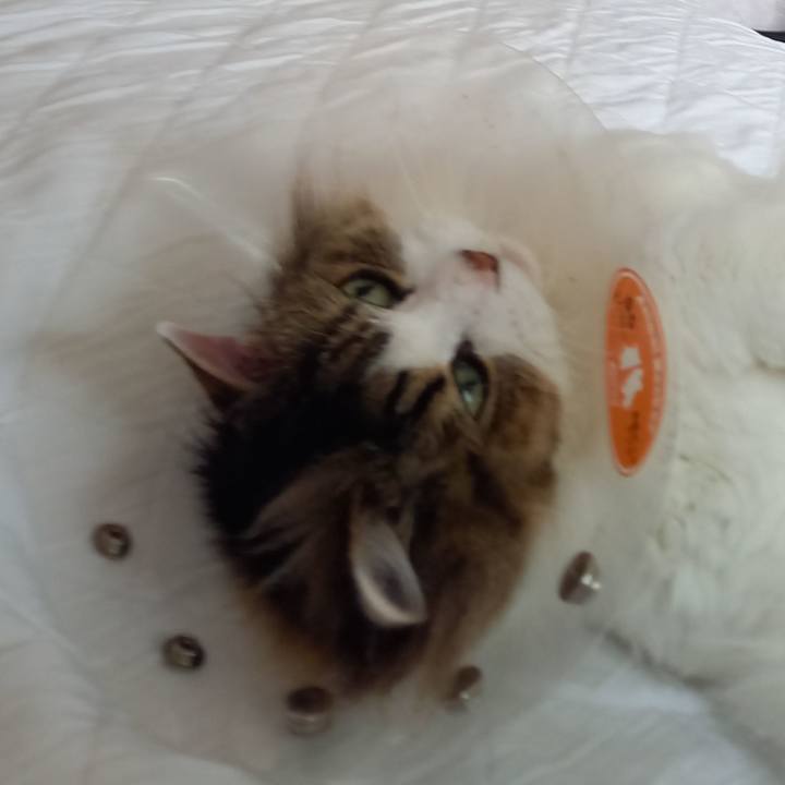 4ad553ff ac1c 49cb b340 e56e5c96a5f4 1654601990553