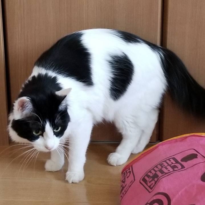 4ad5a0a3 7642 4f9d 8deb 17da143a9a4c 1554337200835