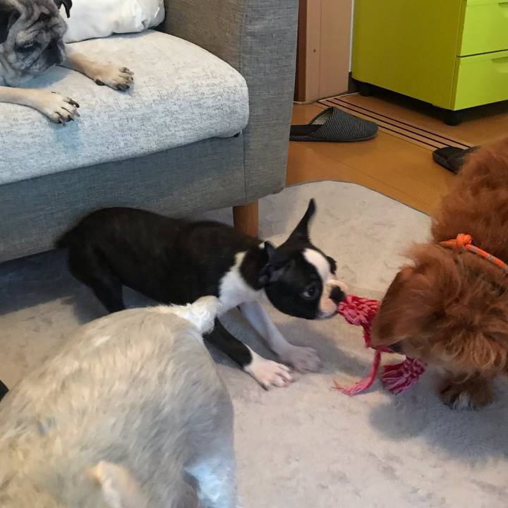 4ad5aa7d a2b4 4b0d 86b7 a50c2490234d 1598140306630