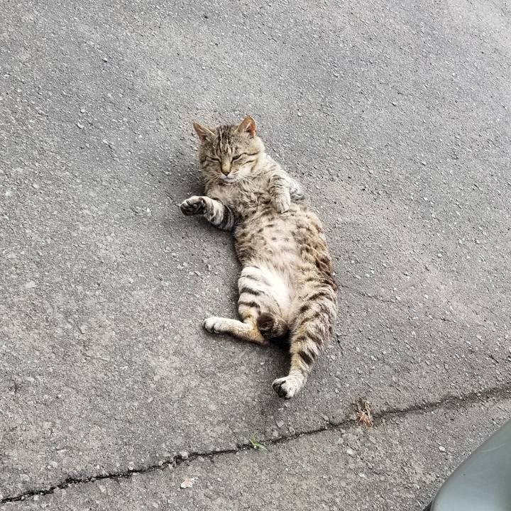 4ad5aec8 db50 4df5 a860 a545aa4e607c 1592465186296