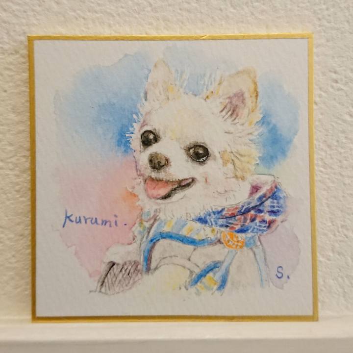 4ad5baab 58db 40d1 a04b cf12f511d1d7 1585377447964