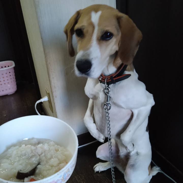 4ad5dd76 e306 42ee 8af3 4e784b673175 1638419255302