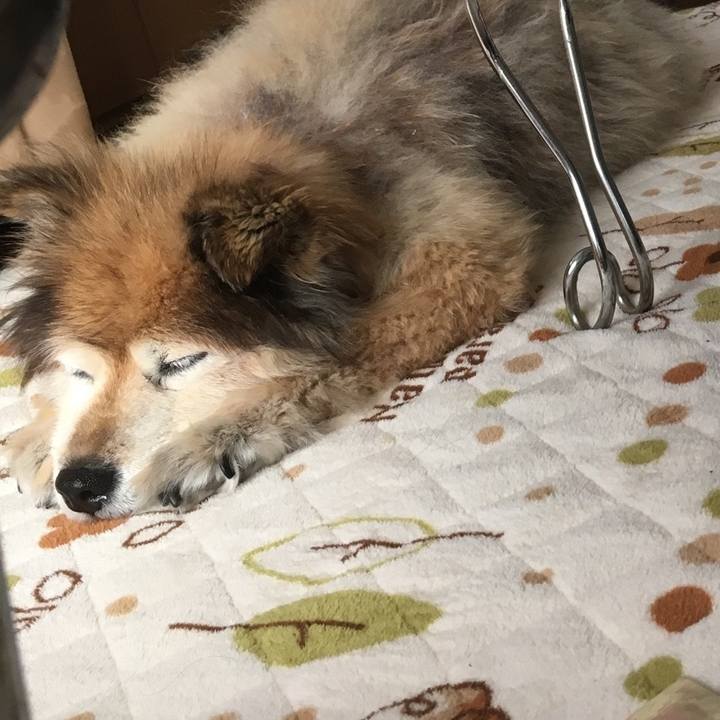 4ad5e45e 9cad 40aa 8413 19b1dddfc638 1612161608418