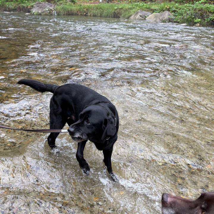 4ad6294d 7d67 4b5f 81d5 a87864e2fc41 1757837050892