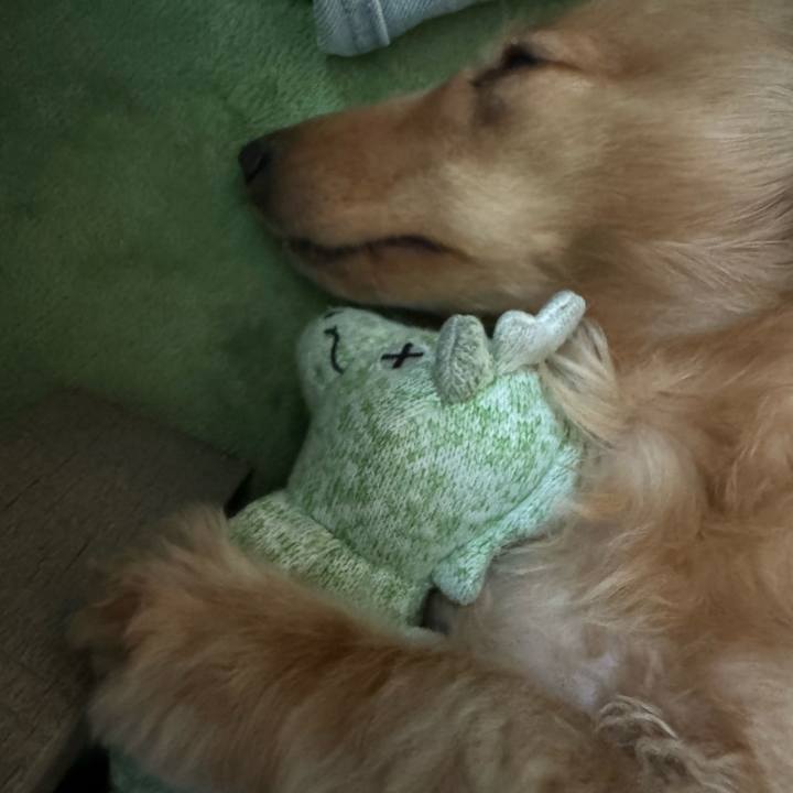 4ad69c88 6f36 415a b0dd b169775684e8 1720084088163