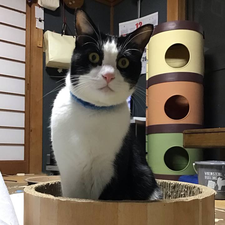 4ad6c78b 5737 44f1 9ae0 b5f44fb8bd6f 1733391157030