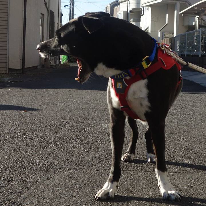 4ad70f08 4008 4814 b544 95adf9aa14d1 1667177006305