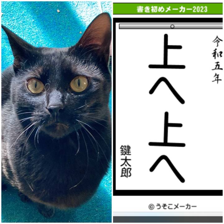 4ad71810 85fc 4e84 8c08 a77930a68e74 1672643094772