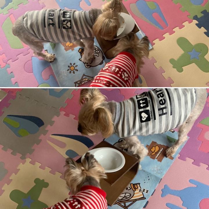 4ad72afe 7624 4f98 ba1f f79d94af9e79 1669020685255