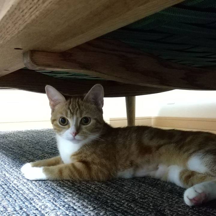 4ad746fa e8eb 488b a311 da94c02c14c4 1629196595713