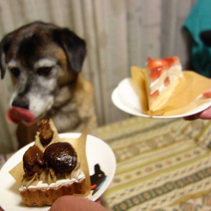 4ad77e11 09ca 49ca bcf6 63cdffcfccac 1649293455244